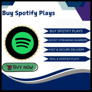 buy spotify plays